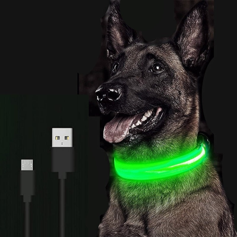 Collar LED ajustable para mascotas