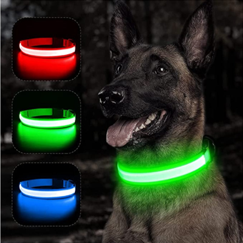 Collar de perro ajustable brillante LED