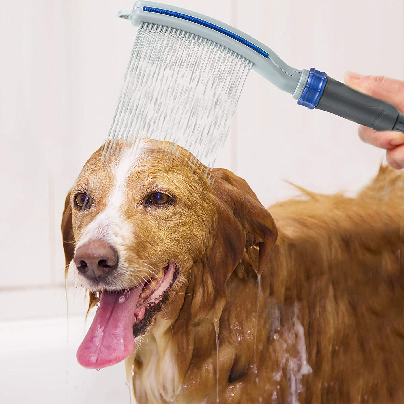 Accesorio rociador de ducha para perros
