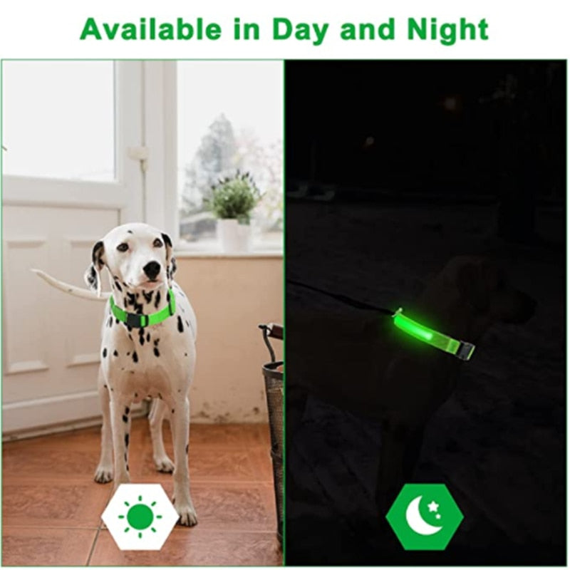 Collar de perro ajustable brillante LED