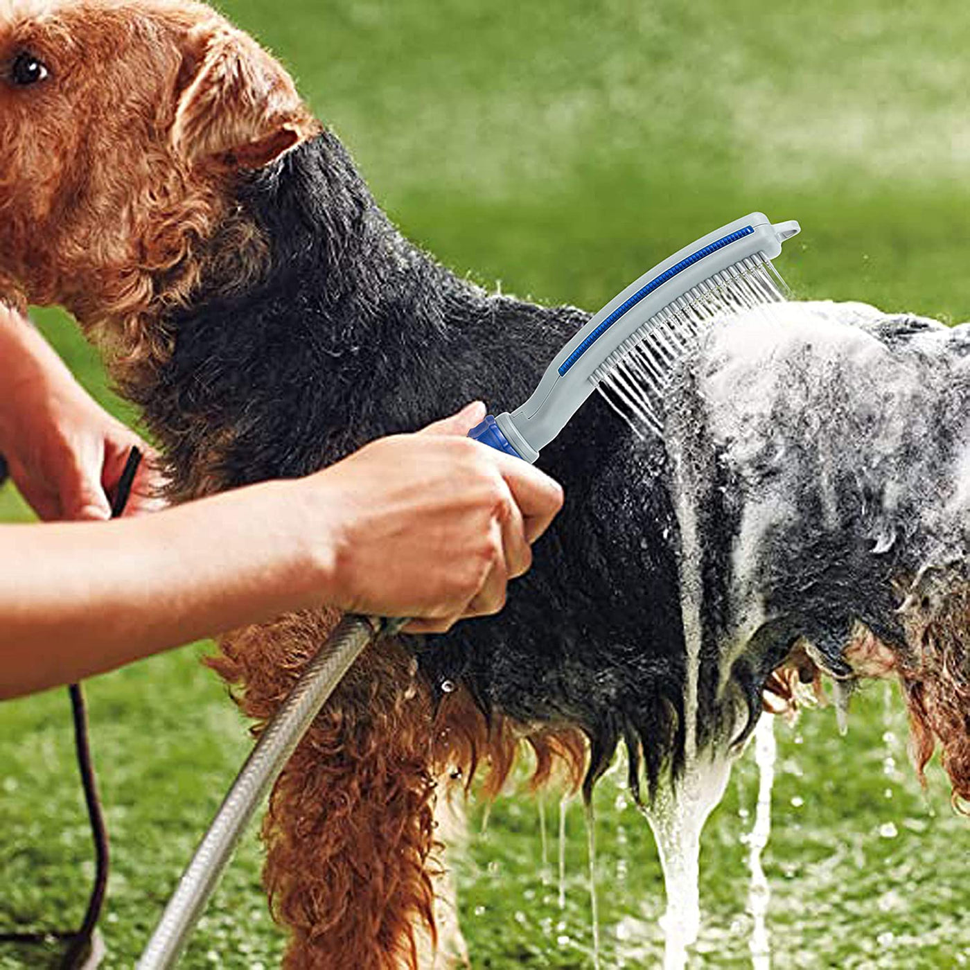 Accesorio rociador de ducha para perros